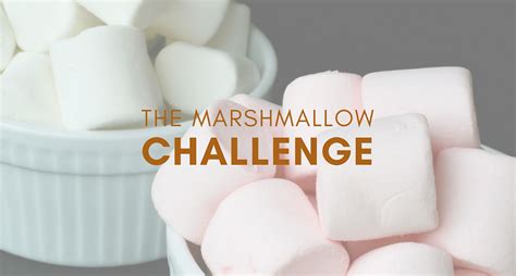 LifestyleDMC | Marshmallow Challenge