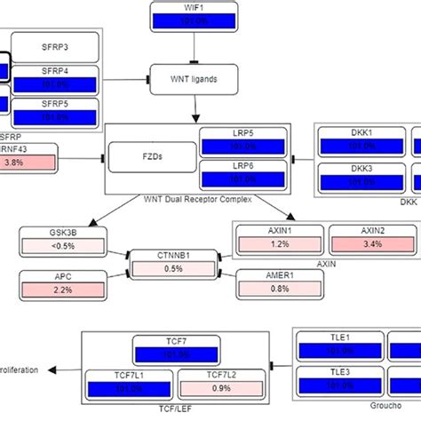 The Wnt Pathway Analysis And The Loss Of Sfrp Lead To Cell