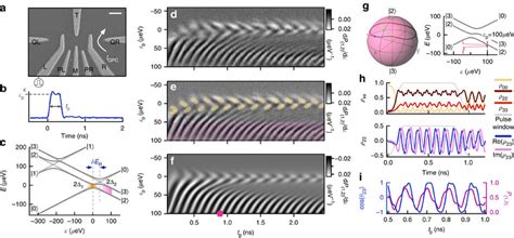 Measurement Of Quantum Oscillations Between Three Quantum States Of