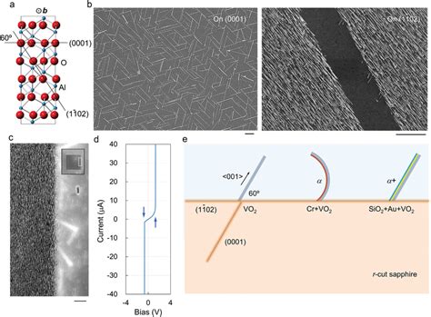 Vo2 Nanobeams Preparation And Design Of α And α⁺ Vpa A Atomic Model Download Scientific