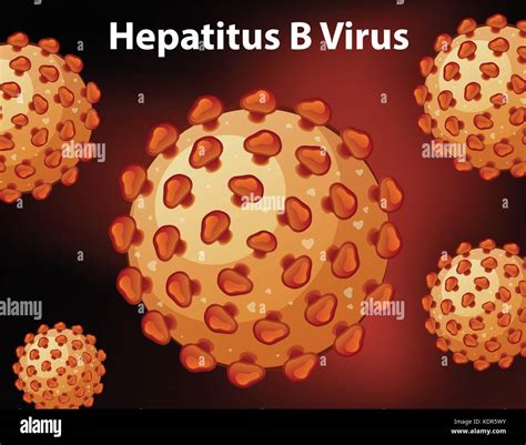 Close Up Diagram For Hepatitus B Virus Illustration Stock Vector Image