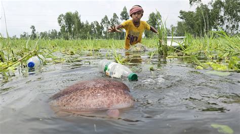 Wow Plastic Bottle Fish Trap Traditional Boy Catch Fish Hunting By