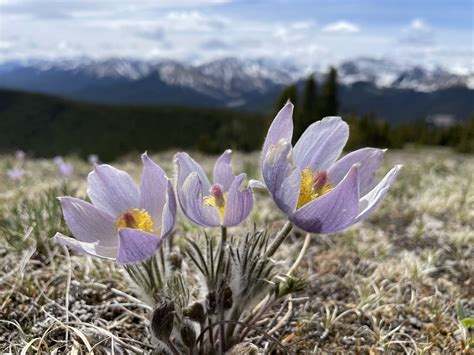 Intervalworldcom membership hikes are frustrating many travelers 9