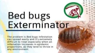 Ppt Deciphering Bed Bug Clues When To Call In The Exterminator