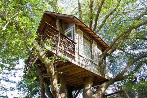 7 Chic Tree Houses Give All New Meaning To Spring Escapes 7x7 Luxury Tree Houses Cool Tree