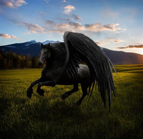 Dark Pegasus By Deviantroze On Deviantart