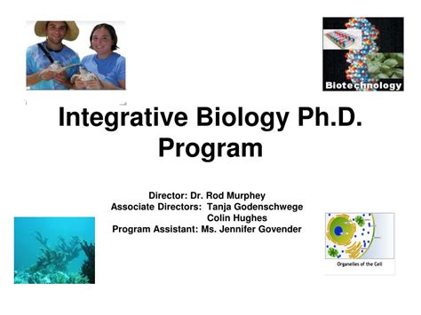 Ppt Integrative Biology Phd Program Powerpoint Presentation Free