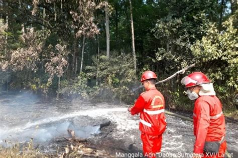 Malaysia Keluhkan Kebakaran Hutan Indonesia AgroIndonesia