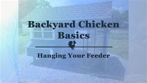 Backyard Chicken Basics Hanging Your Feeder Youtube