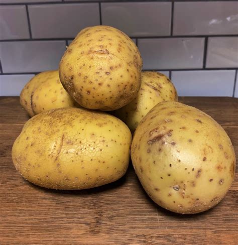 Hilroqg Potato Seeds Seed Potatoes For Planting Yukon Gold Seed Potatoes 1 Pound