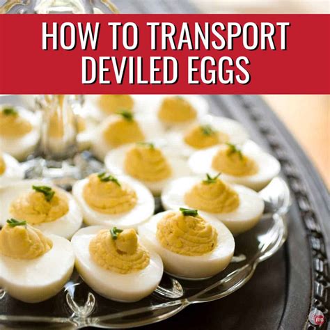 How To Transport Deviled Eggs Tips Take Two Tapas