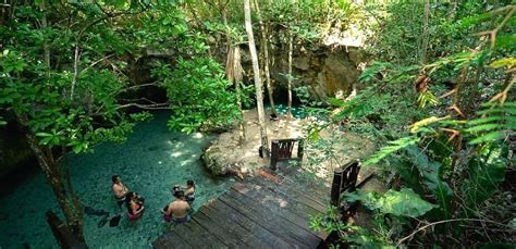 ☑️ Gran Cenote Tulum Cómo Llegar Horario Precio 2024