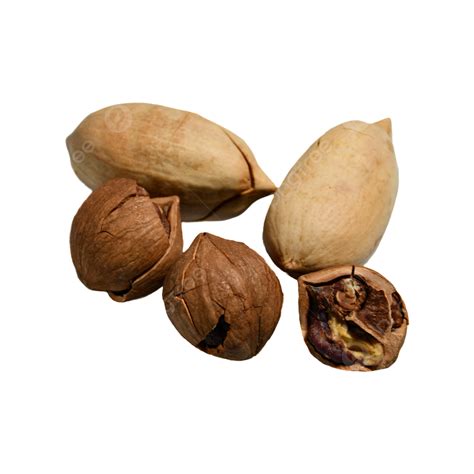 Refreshing Brown Walnut Original Pecans Pecans Nut Snacks Png