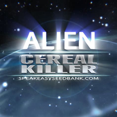 Cereal Killer Strain 🥣🗡️ • Killer Genetics • Death To Blandness