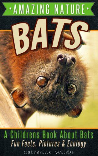 Bats A Childrens Book About Bats With Fun Facts About Bats Habitat