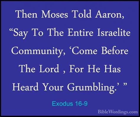 Exodus 16 Holy Bible English