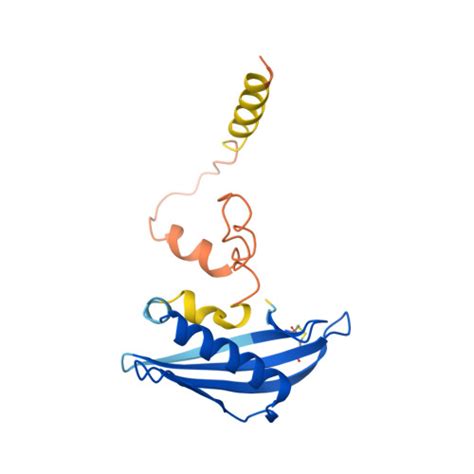 RCSB PDB AF AFP22882F1 Computed Structure Model Of 17 KDa Surface