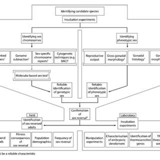 Schematic Representation Of Sex Reversal Characteristics In P