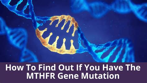 How To Find Out If You Have The Mthfr Gene Mutation Mthfr Support