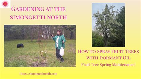 How To Spray Fruit Trees With Dormant Oil 🍎🍐🍑 Gardening At The