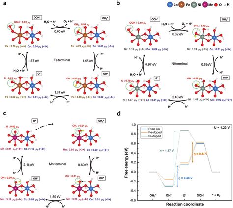 Oer Cycles For The A Fe B Ni And C Mn Terminal Sites The Reaction