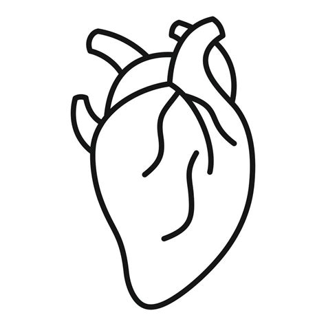 Anatomy Human Heart Icon Outline Style 14517070 Vector Art At Vecteezy