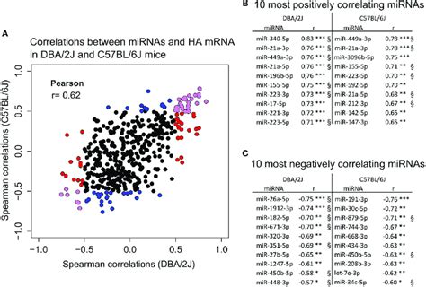 Correlation Of Mirna Expression With Hemagglutinin Ha Mrna