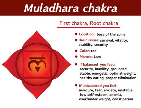 Root Chakra The First Chakra