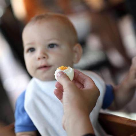 Cu Ntas Veces Debe Comer Un Beb De Meses Actualizado Julio