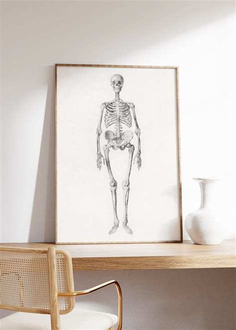 Vintage Human Skeleton Print Anatomy Wall Art Medical Etsy