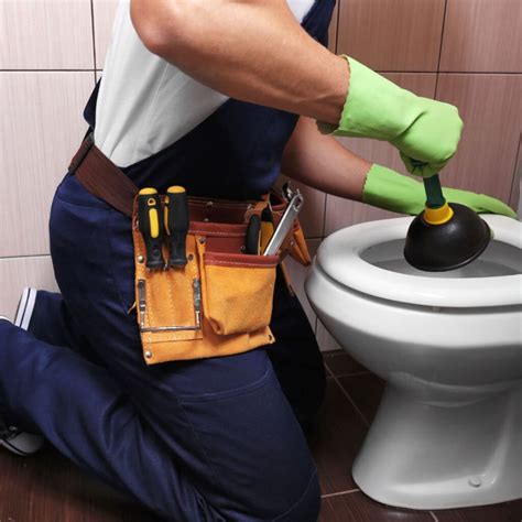 Toilet Repair Zip Surrey Plumbing