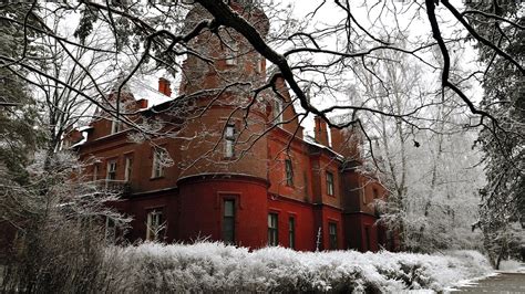 Wallpaper Winter, trees, snow, house 1920x1200 HD Picture, Image