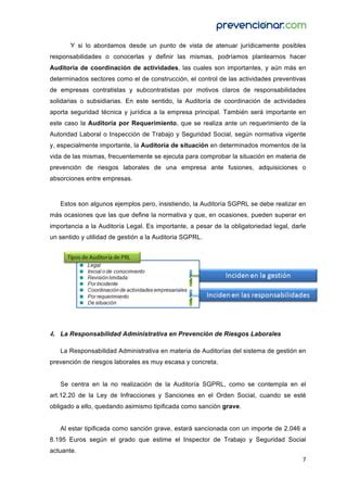 Auditor A Y Responsabilidades En Prl Pdf