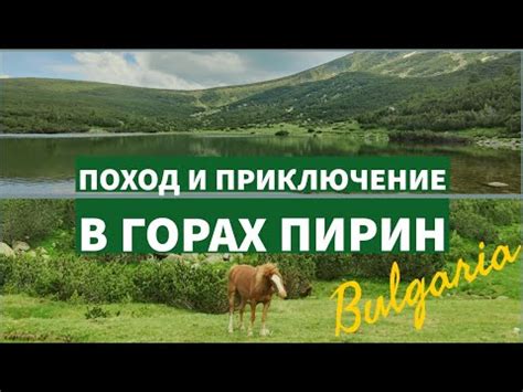 Болгария: Горы Пирин, Безбожко Озеро Безбог, Свежая Рыба. Мы попались ...