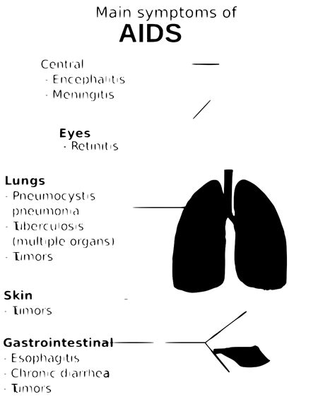 SVG > diaphragm problems aids hiv - Free SVG Image & Icon. | SVG Silh