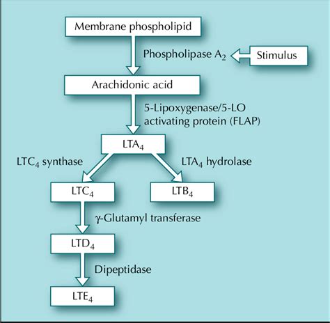 Leukotriene Modifiers Biopharma Notes