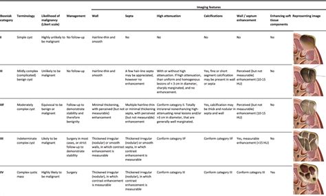 Figure 1 From Bosniak Classification For Complex Renal Cysts Reevaluated A Systematic Review