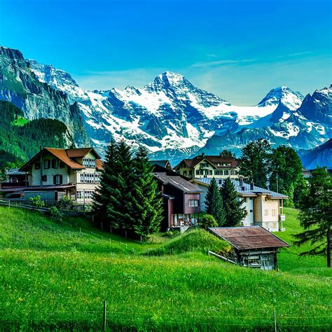 Continental Alpini Praline Milk