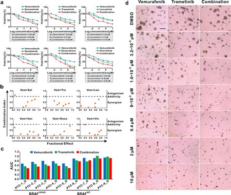 Combination Of BRAF Inhibitor With MEK Inhibitors RTK Inhibitors Or