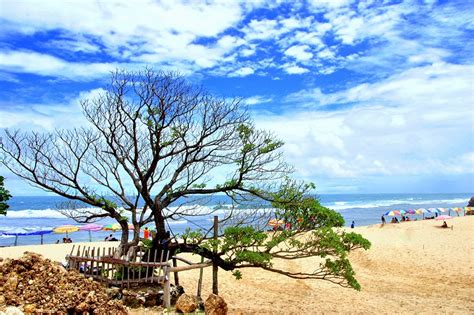 Eksotisme Pasir Putih Pantai Pok Tunggal De Jogja Adventure