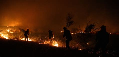 Incendios Forestales Suman Nuevo Fallecido De 45 Años En Purén