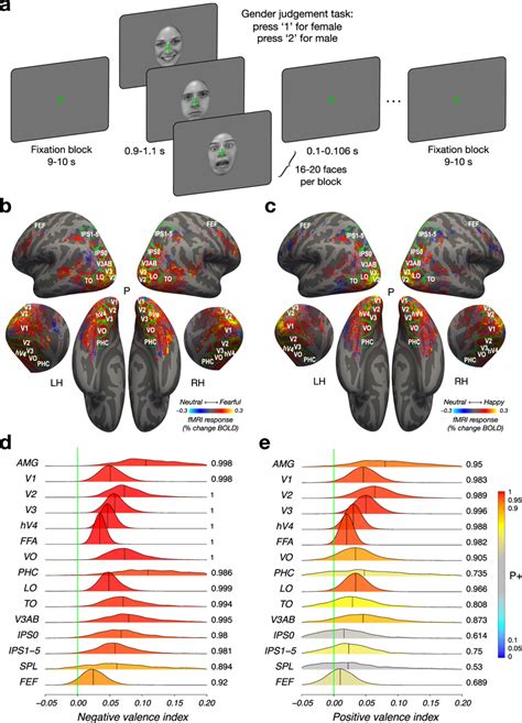 Distribution Of Valence Modulation Throughout The Brain A Stimuli And