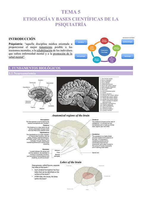 Solution Etiolog A Y Bases Cient Ficas De La Psiquiatr A Studypool