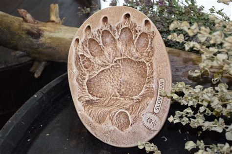 bear paw