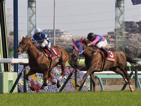 【外厩を分析すれば大体当たる〜】ニュージーランドトロフィー 競馬ニュースなら競馬のおはなし