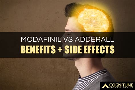 Modafinil Brain