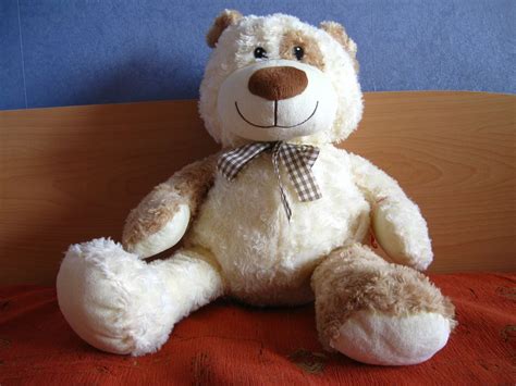 Is Stuffed Animals Role Play Weird Or Cool The