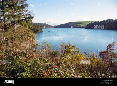 glandore harbour, west cork ireland Stock Photo - Alamy