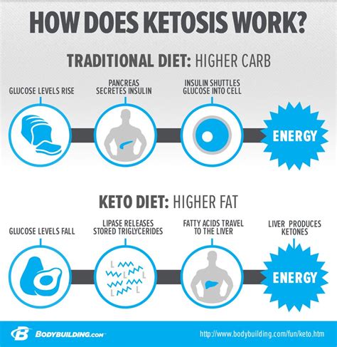 In Depth Look At Ketogenic Diets And Ketosis