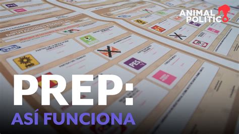 El Prep Y Sus Diferencias Con Encuestas De Salida Y Conteo R Pido